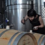 10. Recording wine in Irpinia, Italy